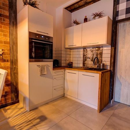 Apartamenty U Rybki Krynica - Zdroj Екстериор снимка